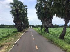 ขายที่ดิน โฉนดครุฑแดง ขนาด 48 ไร่ -202508082138201754663900427.jpg