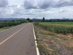 ขายที่ดิน โฉนดครุฑแดง ขนาด 48 ไร่ -202508082138211754663901559.jpg