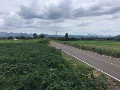 ขายที่ดิน โฉนดครุฑแดง ขนาด 48 ไร่ -202508082138231754663903405.jpg