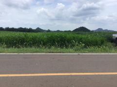 ขายที่ดิน โฉนดครุฑแดง ขนาด 48 ไร่ -202508082138251754663905472.jpg