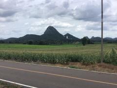 ขายที่ดิน โฉนดครุฑแดง ขนาด 48 ไร่ -202508082138271754663907169.jpg