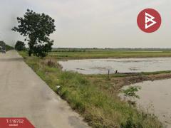 ขายที่ดิน-เนื้อที่-1-งาน-40.4-ตร.วา-ลำลูก