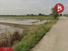ขายที่ดิน เนื้อที่ 1 งาน 40.4 ตร.วา ลำลูกกา ปทุมธานี-202508090900381754704838475.jpg