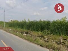 ขายที่ดิน เนื้อที่ 1 งาน 40.4 ตร.วา ลำลูกกา ปทุมธานี-202508090900401754704840071.jpg