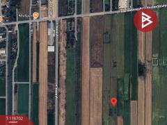 ขายที่ดิน เนื้อที่ 1 งาน 40.4 ตร.วา ลำลูกกา ปทุมธานี-202508090900421754704842229.jpg