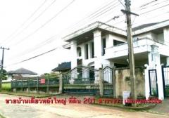 ขายบ้านเดี่ยวหลังใหญ่ 201 ตรว.เมืองเอกรังสิต ใกล้ตลาดสัมมากร ม.รังสิต ราคาถูกๆ-202508090956151754708175690.jpg