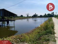 ขายที่ดิน เนื้อที่ 22 ไร่ 5.7 ตร.วา สองพี่น้อง สุพรรณบุรี-202508091042581754710978790.jpg