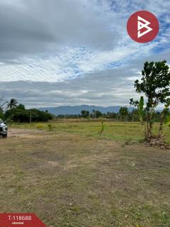 ขายที่ดิน เนื้อที่ 2 ไร่ 1 งาน 93 ตร.วา หนองบัว จันทบุรี-202508091128461754713726766.jpg