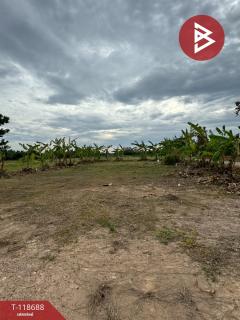 ขายที่ดิน เนื้อที่ 2 ไร่ 1 งาน 93 ตร.วา หนองบัว จันทบุรี-202508091128471754713727299.jpg