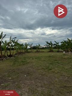 ขายที่ดิน เนื้อที่ 2 ไร่ 1 งาน 93 ตร.วา หนองบัว จันทบุรี-202508091128471754713727829.jpg