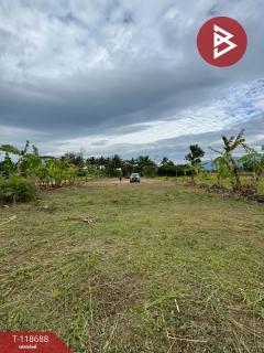 ขายที่ดิน เนื้อที่ 2 ไร่ 1 งาน 93 ตร.วา หนองบัว จันทบุรี-202508091128481754713728361.jpg