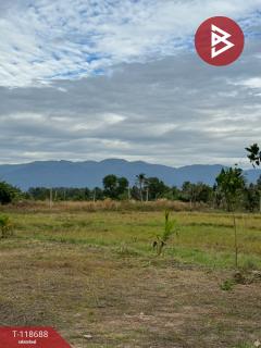 ขายที่ดิน เนื้อที่ 2 ไร่ 1 งาน 93 ตร.วา หนองบัว จันทบุรี-202508091128481754713728892.jpg