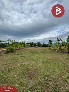 ขายที่ดิน เนื้อที่ 2 ไร่ 1 งาน 93 ตร.วา หนองบัว จันทบุรี-202508091128491754713729960.jpg