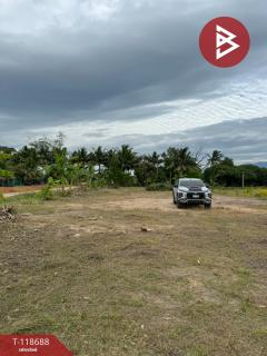 ขายที่ดิน เนื้อที่ 2 ไร่ 1 งาน 93 ตร.วา หนองบัว จันทบุรี-202508091128501754713730576.jpg