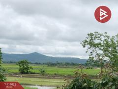 ขายที่ดินติดทางรถไฟ-ป่าแงะ-ป่าแดด-เ