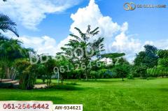 AW-934621 ที่ดินพร้อมบ้านเดี่ยว 1 ไร่ 45.2 ตร.ว. ภูเรือ เลย ใกล้ อบต. ปลาบ่า-202508091250451754718645665.jpg