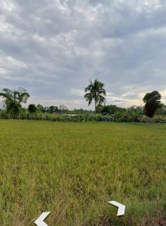 ขายที่ดิน 11 ไร่ 1 งาน 70 ตร.ว. ต.เวียงเหนือ อ. เวียงชัย จ.เชียงราย เชื่อมต่อเมือง สนามบิน แหล่งท่องเที่ยวได้รวดเร็ว-202508091326291754720789285.jpg