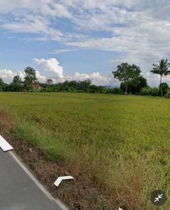 ขายที่ดิน 11 ไร่ 1 งาน 70 ตร.ว. ต.เวียงเหนือ อ. เวียงชัย จ.เชียงราย เชื่อมต่อเมือง สนามบิน แหล่งท่องเที่ยวได้รวดเร็ว-202508091326291754720789833.jpg