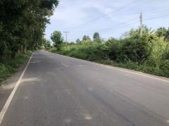 ขายที่ดิน 6 ไร่ ติดถนนลาดยางกว้าง 10 เมตร บ้านดงห่างจากถนนเส้นเอเชีย 13 กิโลเมตร อำเภอบางระกำ จังหวัดพิษณุโลก