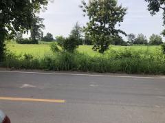 ขายที่ดิน 6 ไร่ ติดถนนลาดยางกว้าง 10 เมตร บ้านดงห่างจากถนนเส้นเอเชีย 13 กิโลเมตร อำเภอบางระกำ จังหวัดพิษณุโลก-202508091423181754724198073.jpg