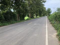 ขายที่ดิน 6 ไร่ ติดถนนลาดยางกว้าง 10 เมตร บ้านดงห่างจากถนนเส้นเอเชีย 13 กิโลเมตร อำเภอบางระกำ จังหวัดพิษณุโลก-202508091423201754724200864.jpg