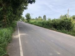 ขายที่ดิน 6 ไร่ ติดถนนลาดยางกว้าง 10 เมตร บ้านดงห่างจากถนนเส้นเอเชีย 13 กิโลเมตร อำเภอบางระกำ จังหวัดพิษณุโลก-202508091423231754724203814.jpg