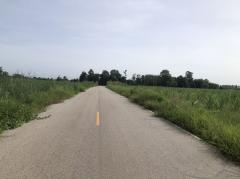 ขายที่ดิน 6 ไร่ ติดถนนลาดยางกว้าง 10 เมตร บ้านดงห่างจากถนนเส้นเอเชีย 13 กิโลเมตร อำเภอบางระกำ จังหวัดพิษณุโลก-202508091423301754724210525.jpg