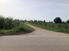 ขายที่ดิน 6 ไร่ ติดถนนลาดยางกว้าง 10 เมตร บ้านดงห่างจากถนนเส้นเอเชีย 13 กิโลเมตร อำเภอบางระกำ จังหวัดพิษณุโลก-202508091423331754724213902.jpg