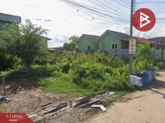 ขายที่ดิน เนื้อที่ 50 ตร.วา พระสมุทรเจดีย์ สมุทรปราการ-202508091452231754725943508.jpg