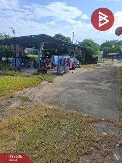 ขายบ้านเดี่ยวพร้อมที่ดิน เนื้อที่ 1 ไร่ 2 งาน เทิง เชียงราย-202508091504561754726696759.jpg
