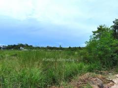 ขาย ที่ดิน ถูกสุดในย่านนี้ ME375 EECม่วงลาย ติดถนนบูรพาพัฒน์ บ้านฉาง ระยอง . 12 ไร่ 1 งาน 29 ตรว ใกล้ท่าเรือมาบตาพุด นิคมมาบตาพุด เพียง 8 Km-202508091528511754728131137.jpg