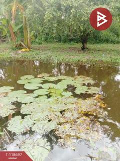 ขายที่ดิน เนื้อที่ 7 ไร่ 2 งาน 16 ตร.วา แหลมสิงห์ จันทบุรี-202508091632561754731976226.jpg