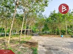 ขายที่ดินพร้อมสิ่งปลูกสร้าง เนื้อที่ 6 ไร่ 2 งาน 42.6 ตร.วา แสลง จันทบุรี-202508091646481754732808469.jpg