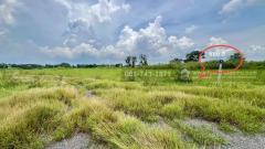 ขายที่ดินเปล่าบึงตะเคียน 