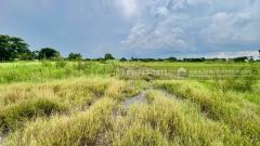 ขายที่ดินเปล่าบึงตะเคียน 