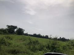 ขายที่ดิน 25 ไร่ขายไร่ละ 110,000 บาท บ้านพันเสาห่างเทศบาลพันเสา 1 กม. -202508092039361754746776589.jpg