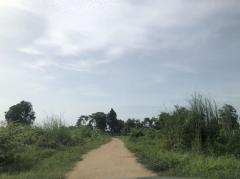 ขายที่ดิน 25 ไร่ขายไร่ละ 110,000 บาท บ้านพันเสาห่างเทศบาลพันเสา 1 กม. -202508092039401754746780035.jpg