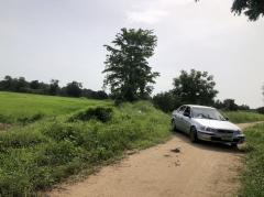 ขายที่ดิน 25 ไร่ขายไร่ละ 110,000 บาท บ้านพันเสาห่างเทศบาลพันเสา 1 กม. -202508092039481754746788853.jpg