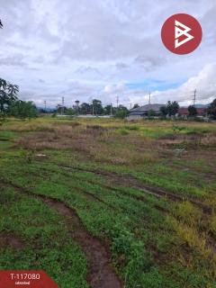 ขายบ้านพร้อมที่ดิน เนื้อที่ 7 ไร่ 45.7 ตร.วา เทิง เชียงราย-202508100943021754793782369.jpg