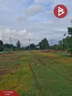 ขายบ้านพร้อมที่ดิน เนื้อที่ 7 ไร่ 45.7 ตร.วา เทิง เชียงราย-202508100943051754793785084.jpg