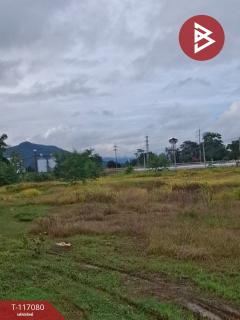 ขายบ้านพร้อมที่ดิน เนื้อที่ 7 ไร่ 45.7 ตร.วา เทิง เชียงราย-202508100943051754793785625.jpg