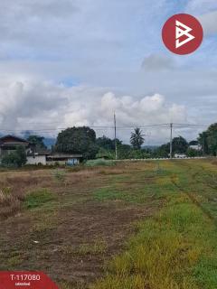 ขายบ้านพร้อมที่ดิน เนื้อที่ 7 ไร่ 45.7 ตร.วา เทิง เชียงราย-202508100943061754793786169.jpg