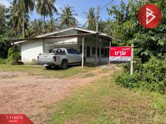ขายที่ดิน เนื้อที่ 1 งาน 97 ตร.วา บางสะพาน ประจวบคีรีขันธ์-202508101033451754796825631.jpg