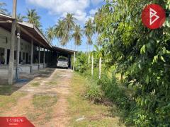ขายที่ดิน เนื้อที่ 1 งาน 97 ตร.วา บางสะพาน ประจวบคีรีขันธ์-202508101033461754796826124.jpg