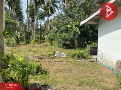 ขายที่ดิน เนื้อที่ 1 งาน 97 ตร.วา บางสะพาน ประจวบคีรีขันธ์-202508101033471754796827672.jpg