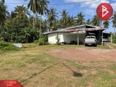 ขายที่ดิน เนื้อที่ 1 งาน 97 ตร.วา บางสะพาน ประจวบคีรีขันธ์-202508101033481754796828668.jpg