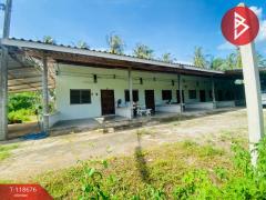 ขายที่ดิน เนื้อที่ 1 งาน 97 ตร.วา บางสะพาน ประจวบคีรีขันธ์-202508101033521754796832372.jpg