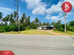 ขายที่ดิน เนื้อที่ 1 งาน 97 ตร.วา บางสะพาน ประจวบคีรีขันธ์-202508101033531754796833270.jpg