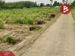 ขายที่ดิน เนื้อที่ 1 ไร่ แปลงยาว ฉะเชิงเทรา-202508101045361754797536045.jpg