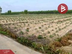 ขายที่ดิน เนื้อที่ 1 ไร่ แปลงยาว ฉะเชิงเทรา-202508101045371754797537091.jpg